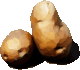 potato